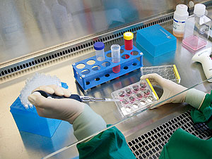 Император или бомж?