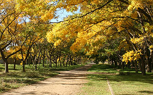 Сухо, тепло, хорошо