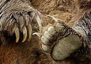 Это просто жизнь