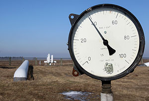 Тимошенко просят поторопиться