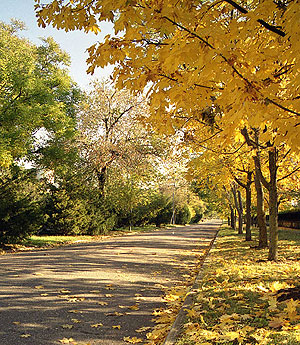 Сладкий сентябрь