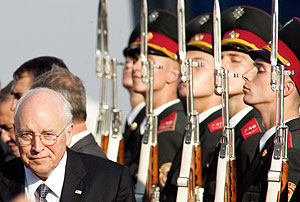 Ястреб в роли миротворца