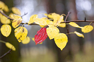 "Фантастическое" похолодание