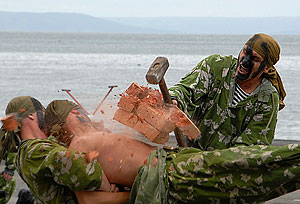 Финансовый кризис против армейской реформы