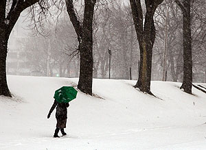 Морозы отменяются