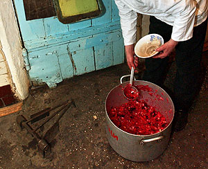 Голодовка или нет