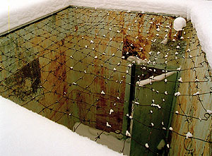 Европа озаботилась изъятой историей ГУЛАГа