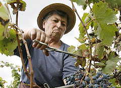 Тбилиси заявляет о попрании прав грузин в Абхазии