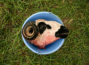 Это просто жизнь