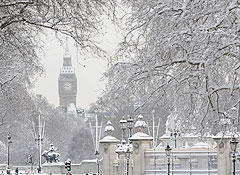 Снежный паралич на пять миллионов. Фото