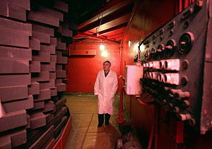 Ядерное разоружение или девальвация потенциала РФ?