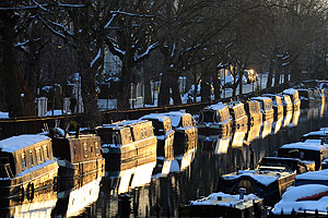 Природа, храни Королеву