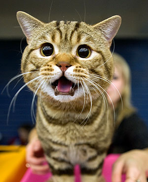 Это просто жизнь