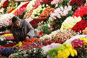 Опасные грузы