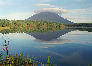 Срез японских аппетитов