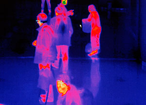 "Свиной грипп". Риск пандемии