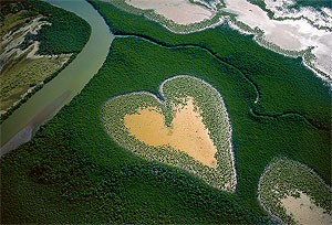 "HOME", в котором мы живем