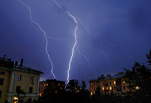 Последствия ветреной ночи