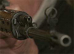 Злой пенсионер не любил собак