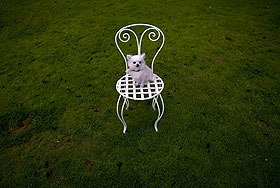 Олигарх проиграл соседям