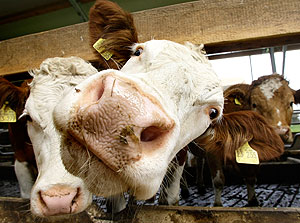 "Как можно за них прогнозировать - скоро или не скоро?"