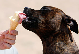 Спасаясь от жары