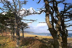 Досадная подножка