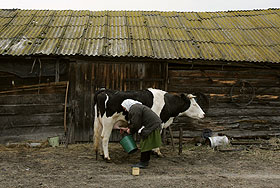 Белоруссия наносит ответный удар