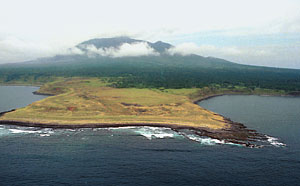 Наш ответ Японии