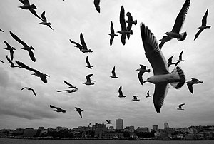 Россия наполовину дееспособная