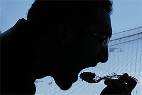 Май съел 11% ВВП