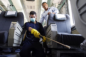 Свиной плюс птичий