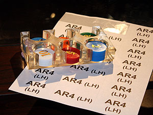 Прощание с казино. Фото