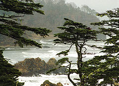 "Существенный шаг назад"