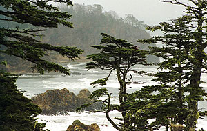 "Существенный шаг назад"