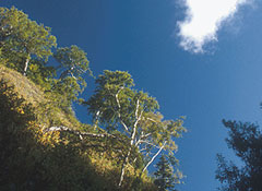 "Надо работать с парламентом"