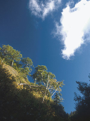 "Надо работать с парламентом"