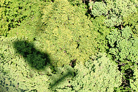 Крушение вертолета Ми-8