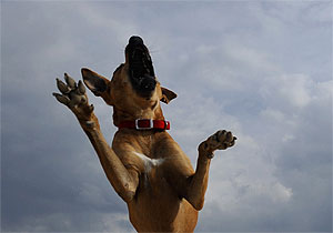 Это просто жизнь