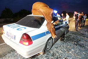 Астрологи нашли объяснение