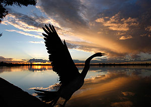 Россия 2010-2012: без "копилки" и с протянутой рукой