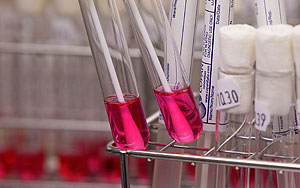 Убоявшись гриппа