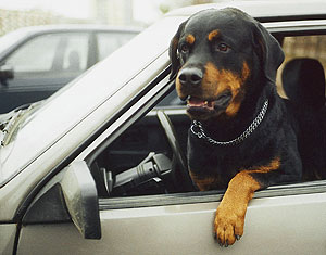 Новый "Бермудский треугольник"