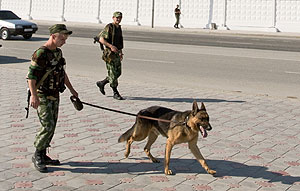 "Я не вижу причин для подобного преступления"