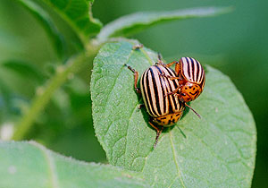 Это просто жизнь