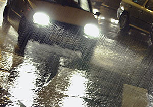 Добро пожаловать в осень