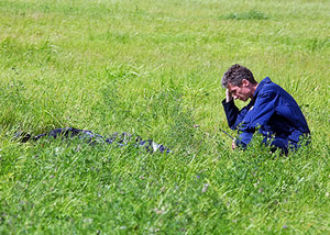 Столкновение истребителей: поиск ответов