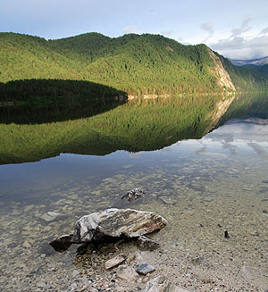 Енисей в масле