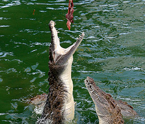 Не перекормить экономику