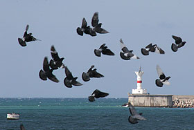 Севастополь хочет быть особенным